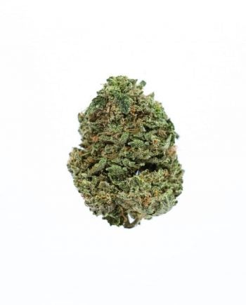 Pandora Cannabis: Premium OG Kush