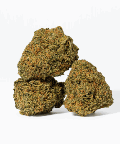 Night Nurse (AA)