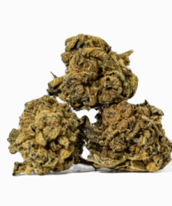 UK Cheese (AA)
