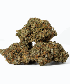 Grease Monkey (AA)