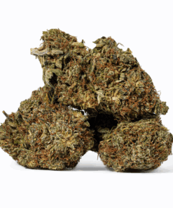 Island Sweet Skunk (AA)
