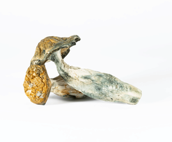 A-One Mushrooms - Makilla Gorilla
