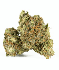Ace Killer Og (AAA+)