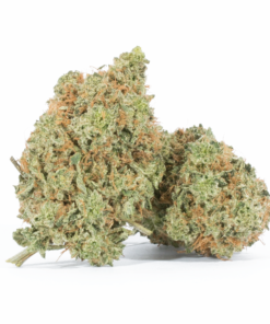 Critical Mass (AA+)
