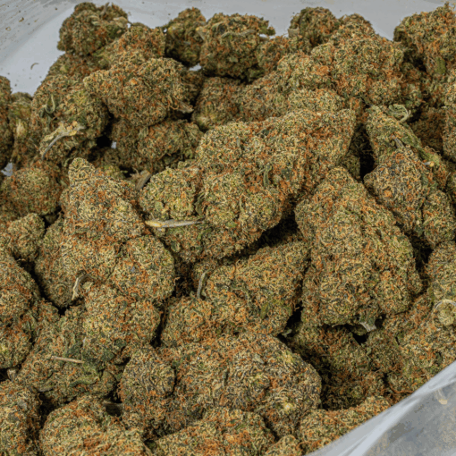 Lime Chernobyl (AAA) - Image 4