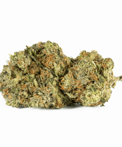 El Jefe (AAA+)