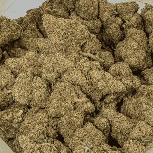 Grape God (AAA) - Image 4