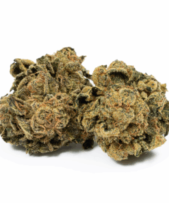 Lemon Skunk (AA)