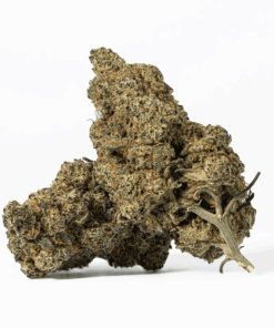 Nuken (AA+)