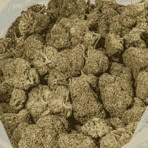 Raspberry Parfait (AA+) - Image 4
