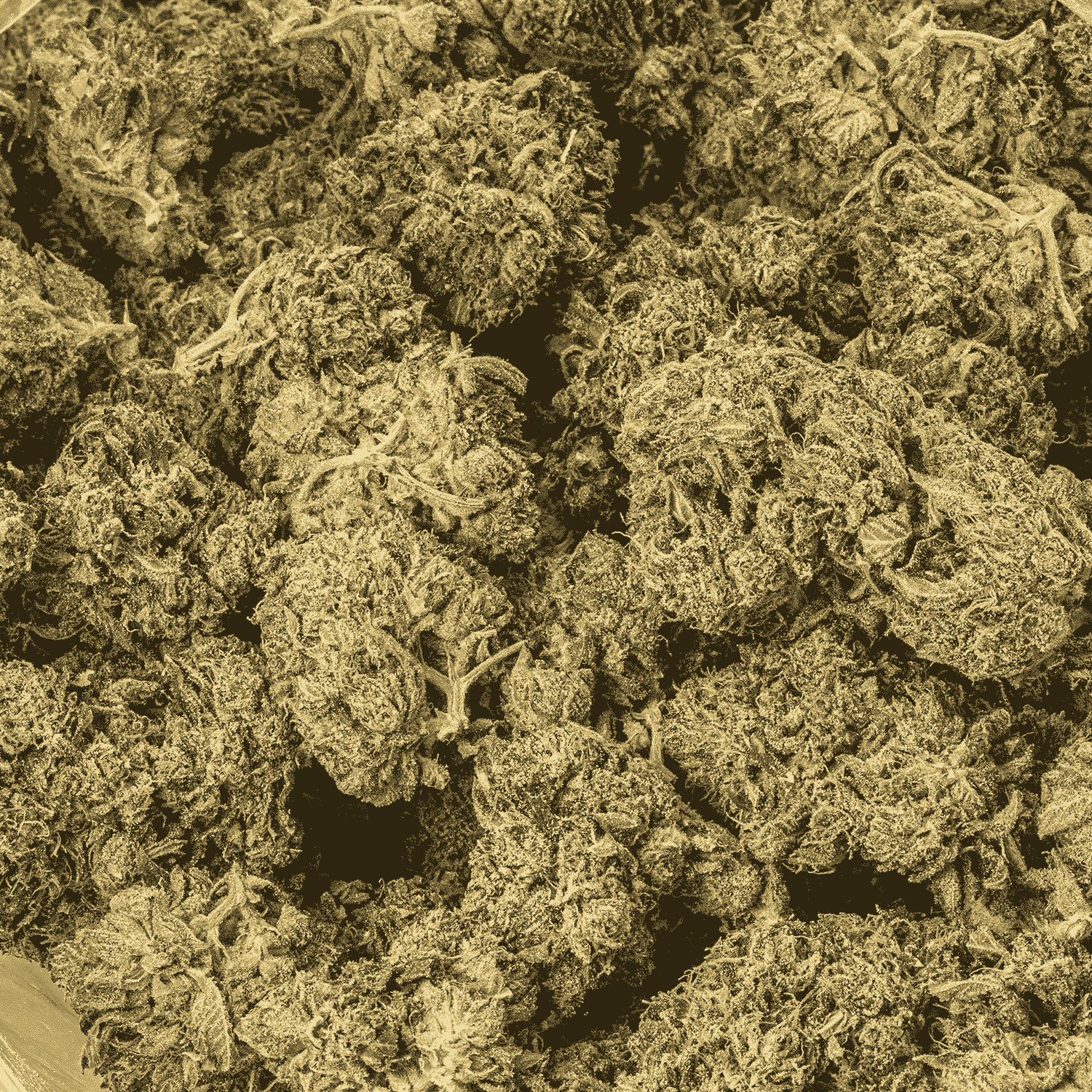 Valley Gas (AAAA) - Image 5