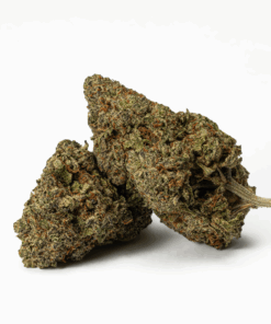Flintstones (AA+)