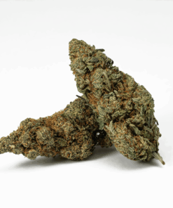 Frosty (AA+)
