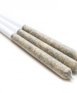 House 0.5g Kief Pre-Rolls (Hybrid)