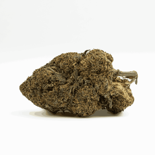 Space Jam (AA+) - Image 3
