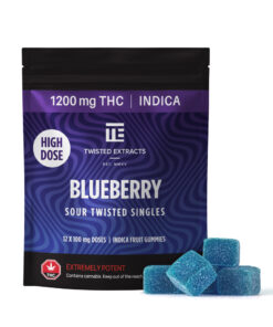 Twisted Extracts - Singles 1200mg - Blueberry (Indica)