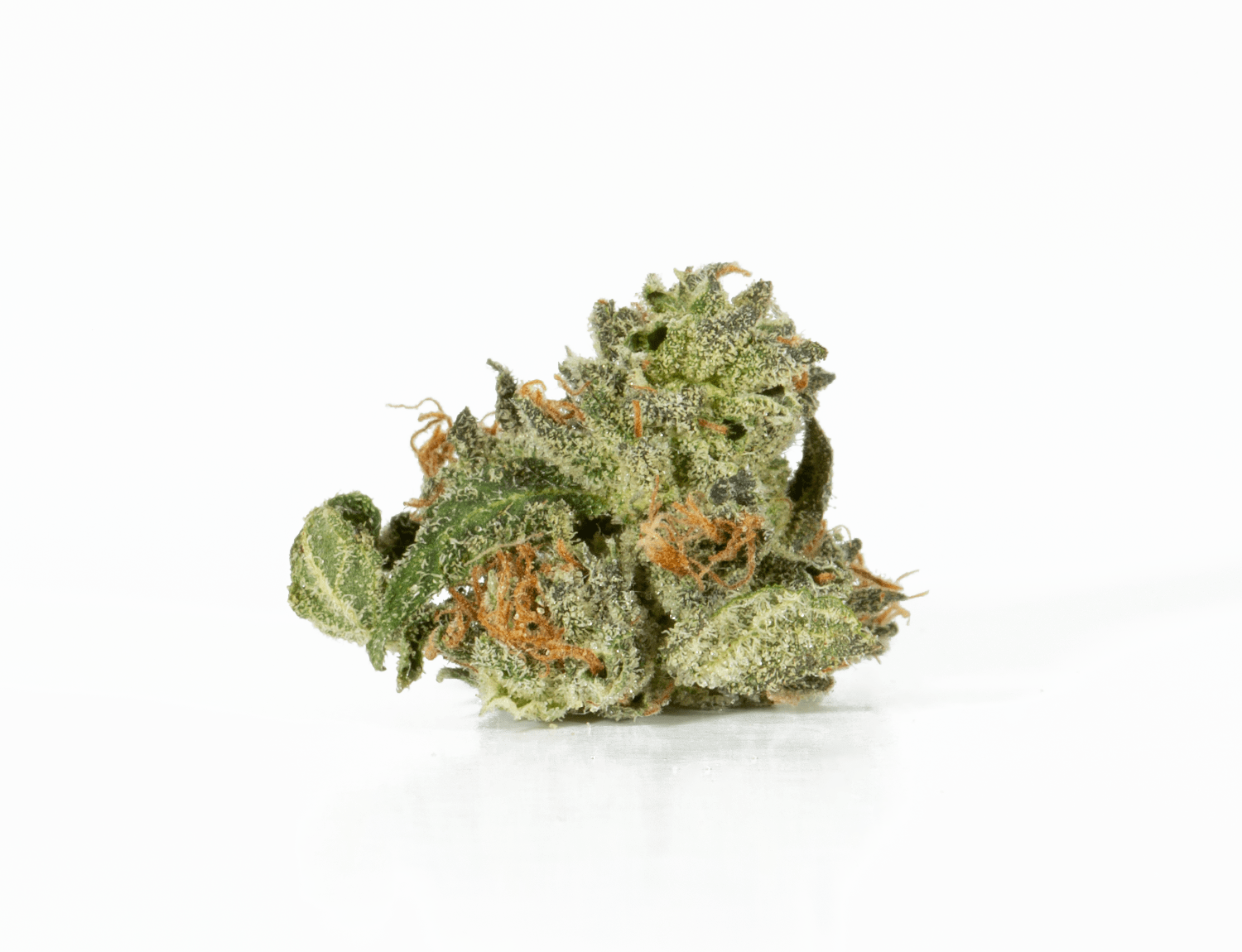 Northern Lights (AAA) - Image 2