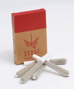Scout - 5 Pack Pre-Rolls (0.5g) - CBD