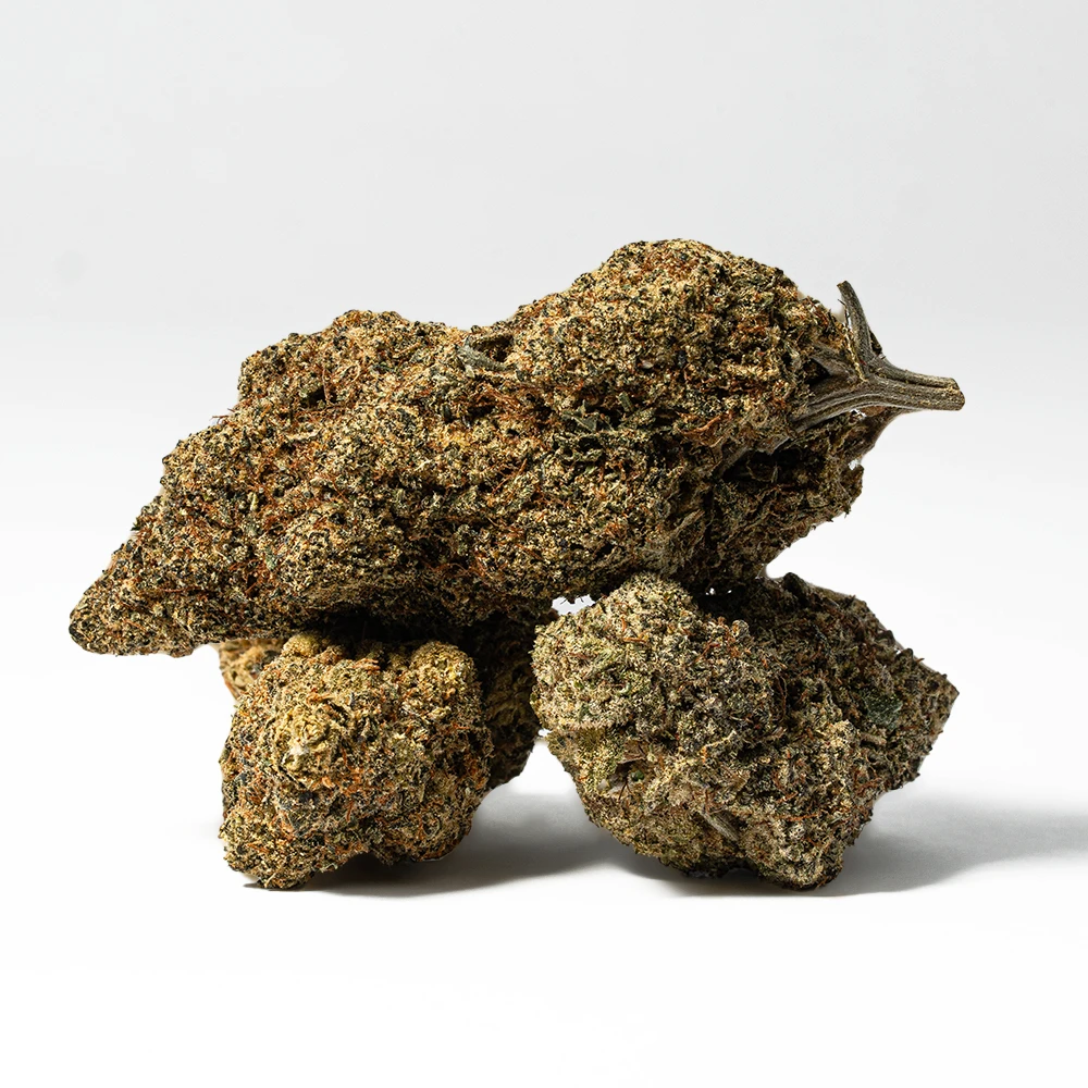 Ghost Dawg (AA+) - Image 3