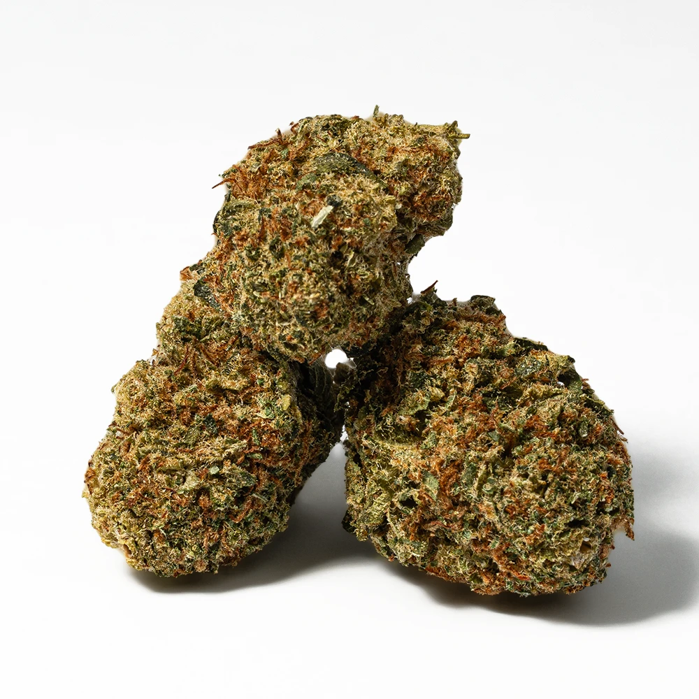 Penelope (AA) - Image 2