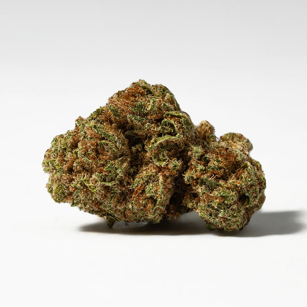 Raspberry Parfait Smalls (AA) - Image 2