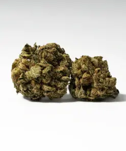 Red Octane Smalls (AA)