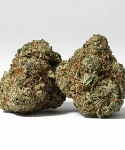 White Thunder (AAA+)