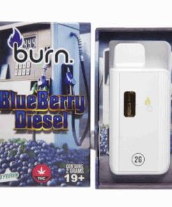 Burn Disposable Vape (2g) - Blueberry Diesel (Hybrid)