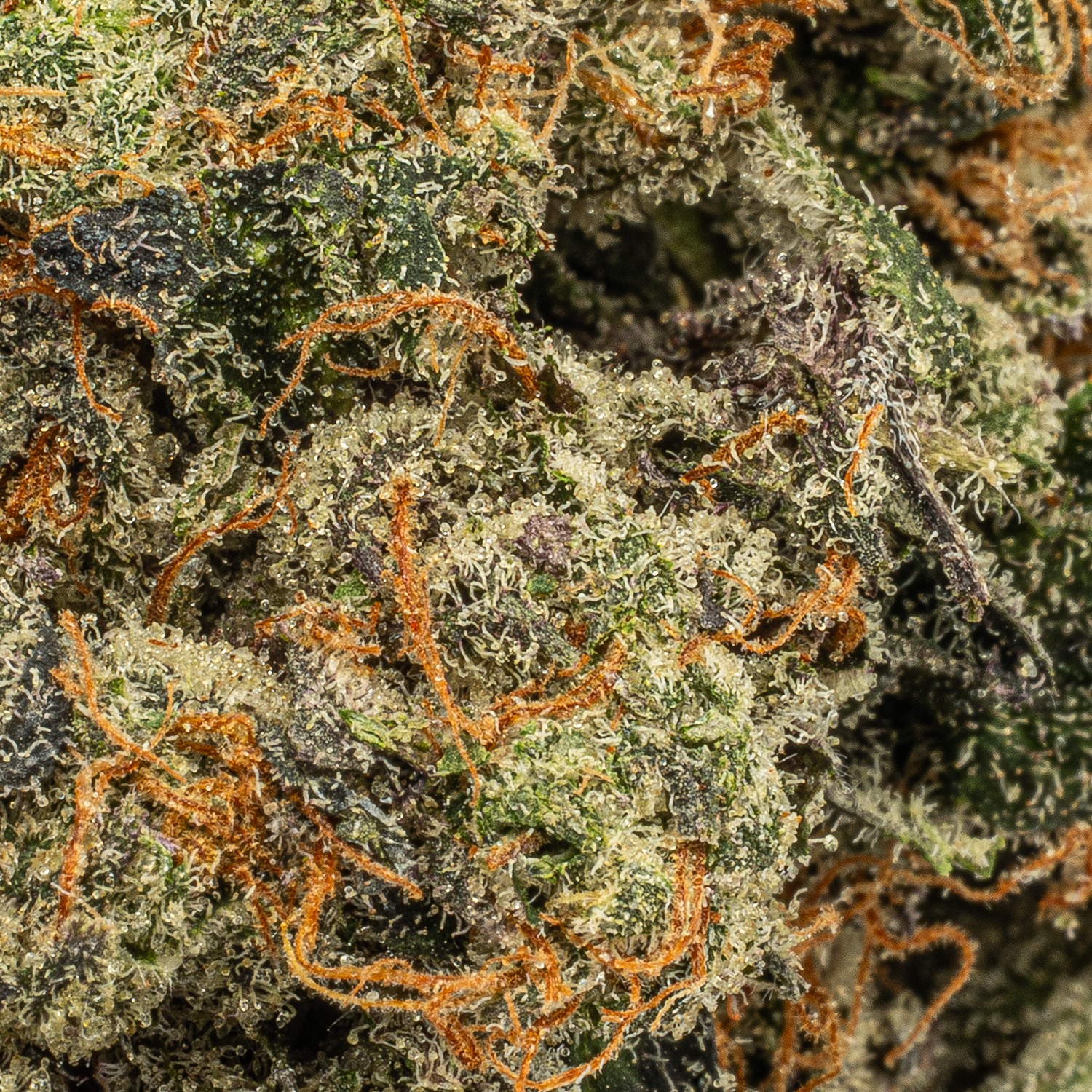 Pink Death Star (AAAA) - Image 5