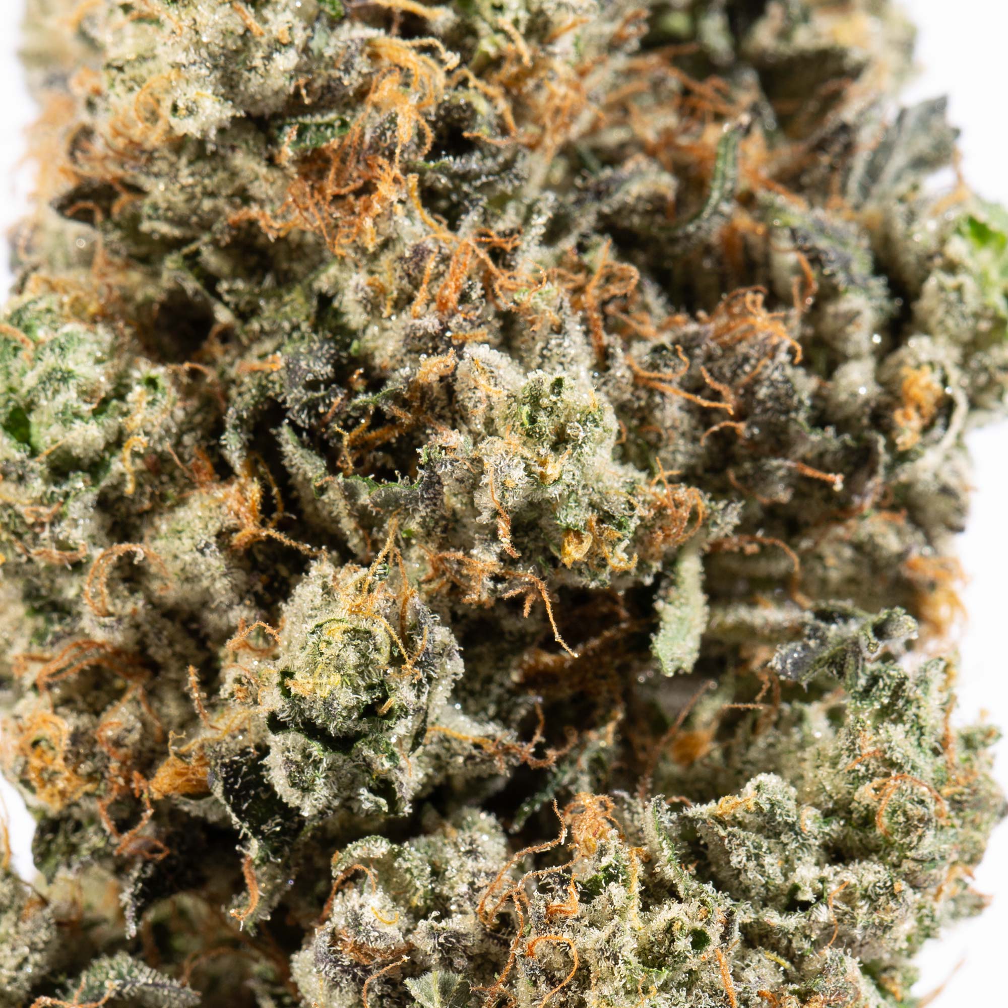 El Chapo (AAAA) - Image 5