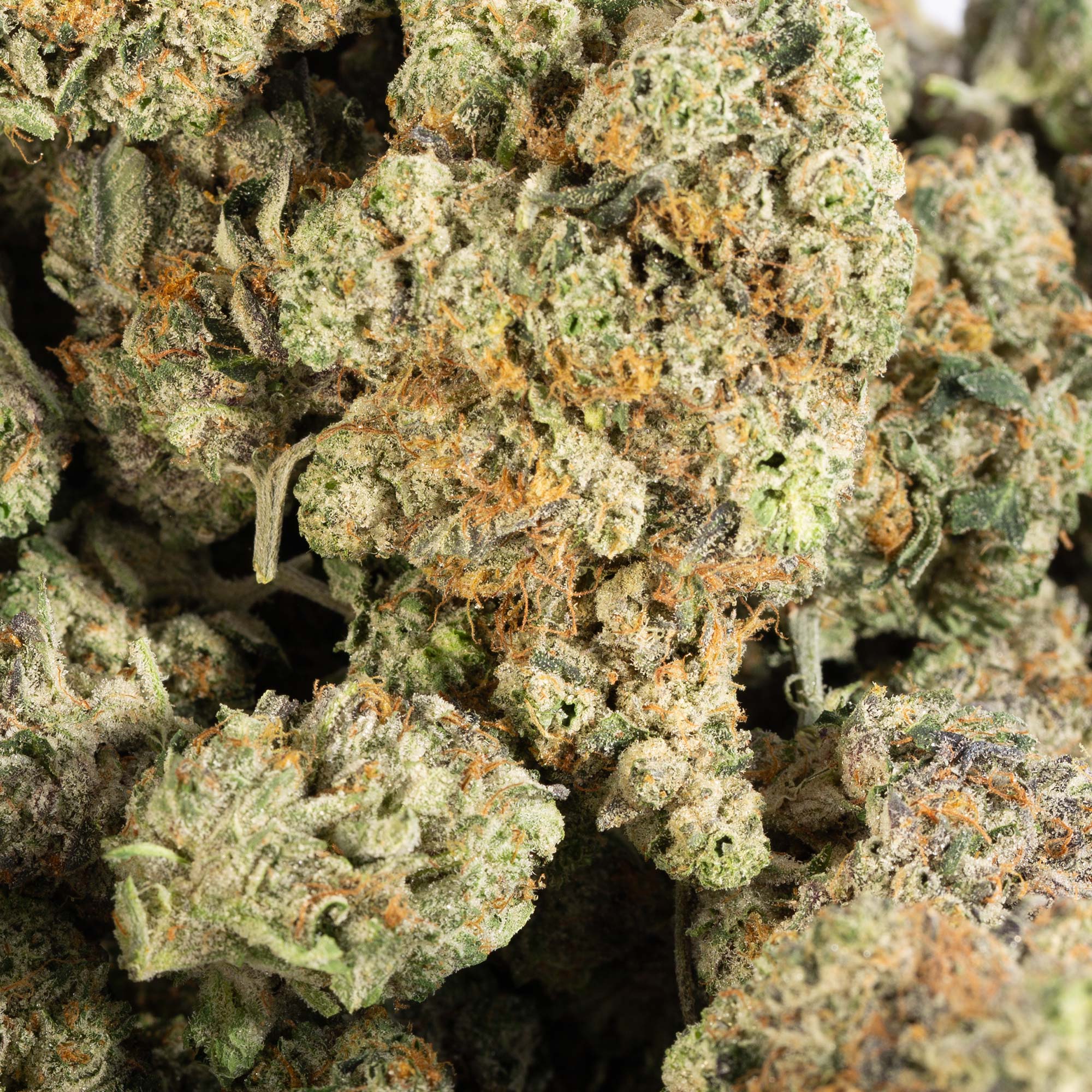 El Chapo (AAAA) - Image 4