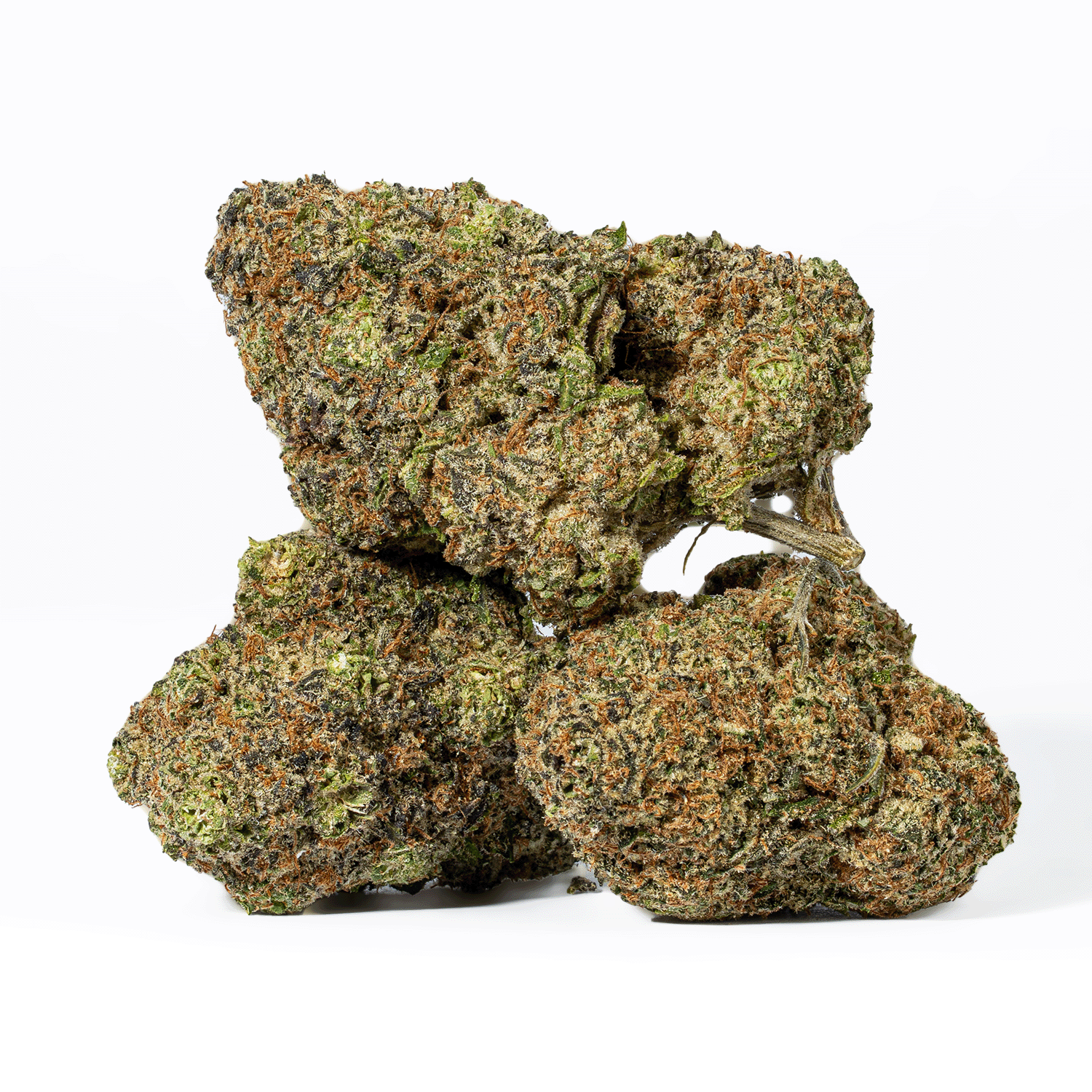 Purple Punch (AA) - Image 2