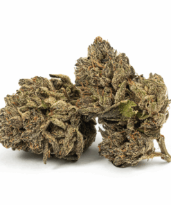 Purple Picasso (AA+)