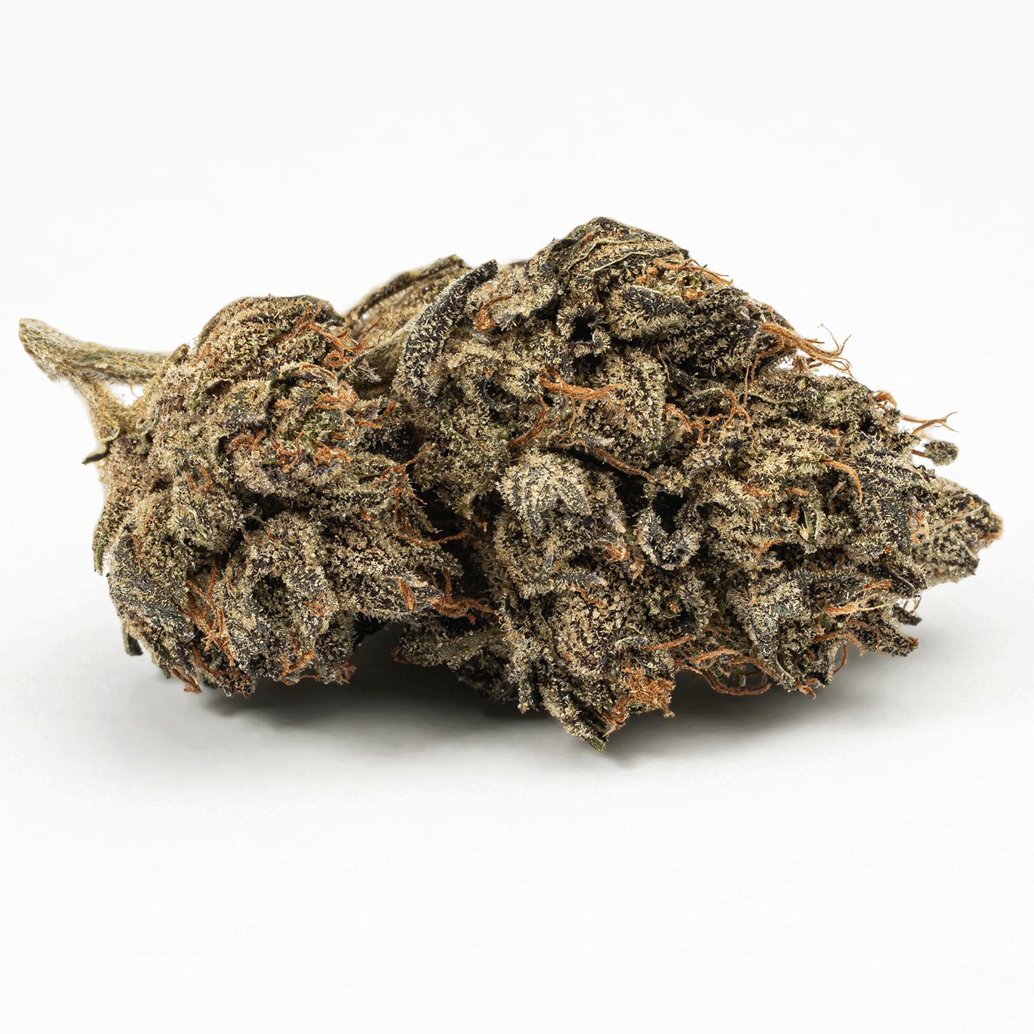 Purple Picasso (AA+) - Image 2