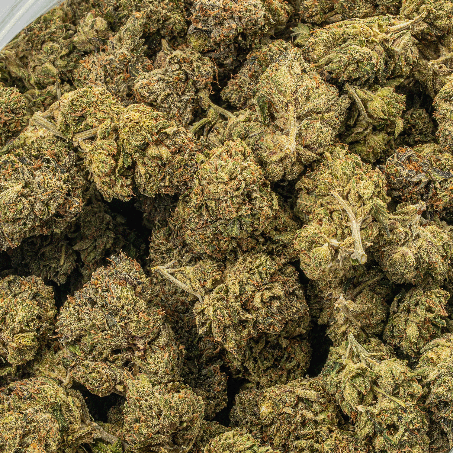 Starfighter (AA+) - Image 5