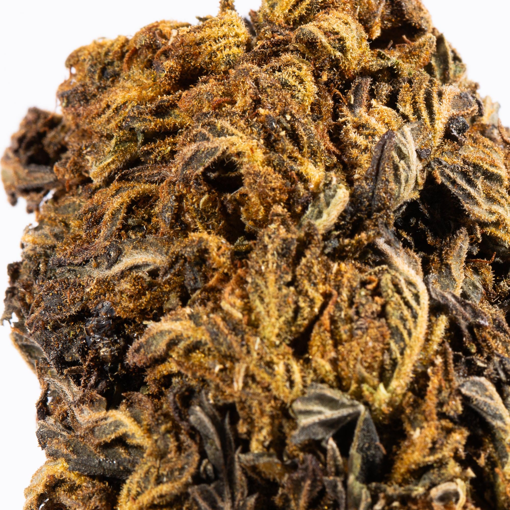 Black Jack (A) - Image 2