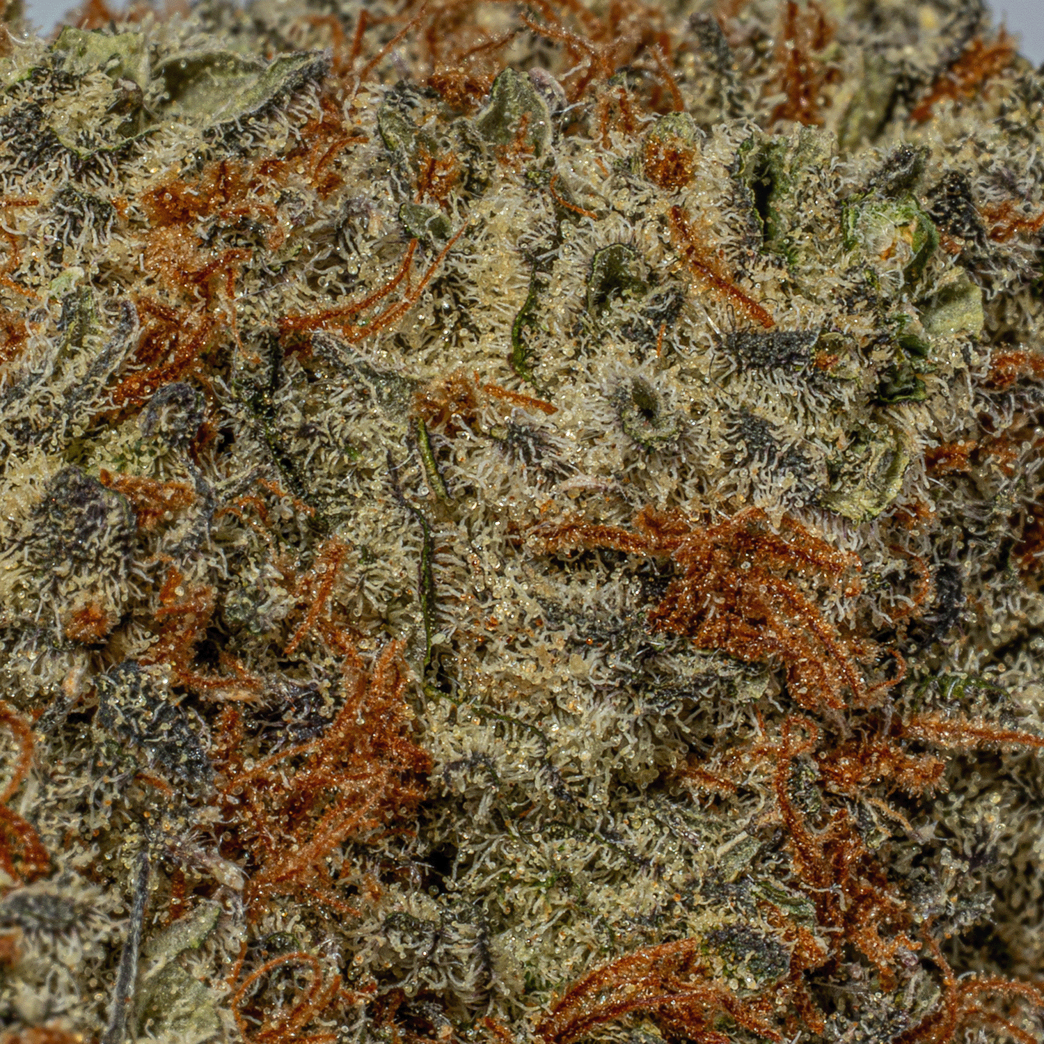 Peyote Cookies (AAA+) - Image 4
