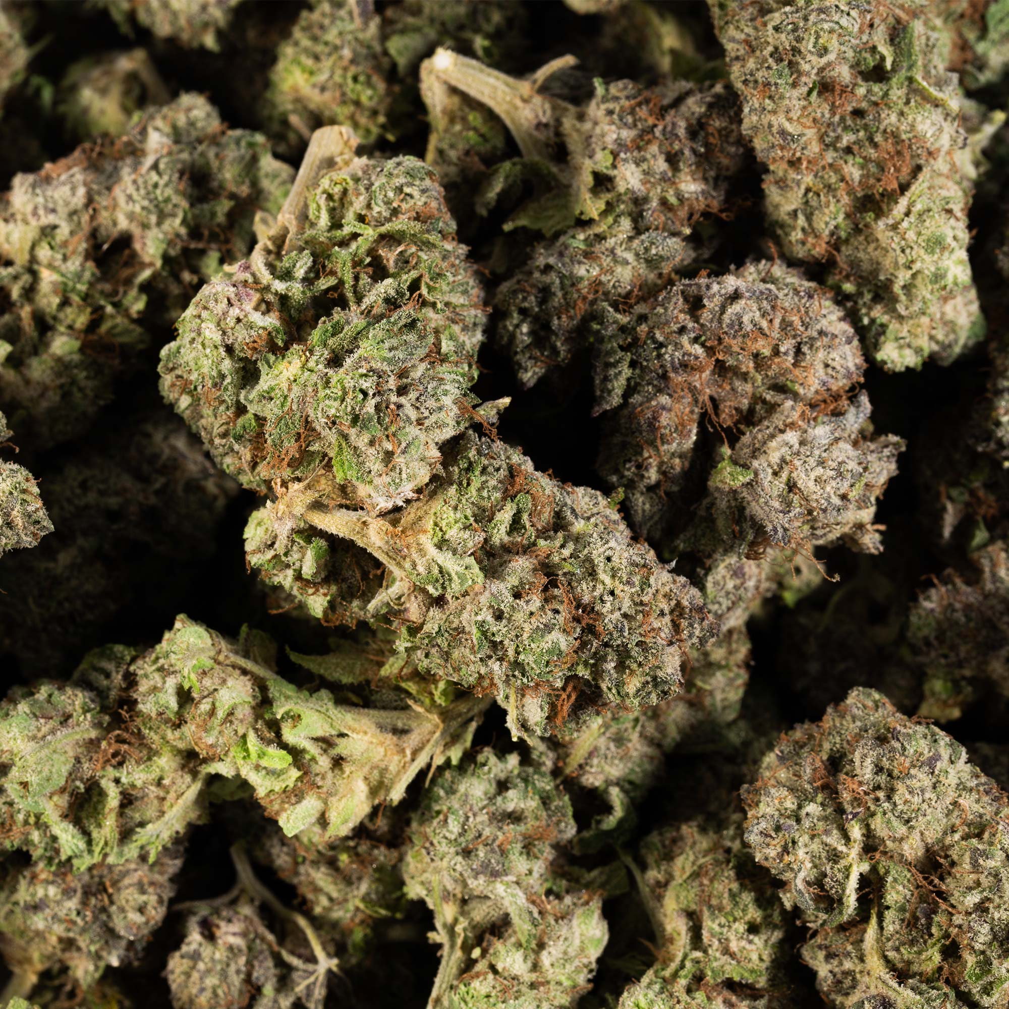 LA Confidential (AAA) - Image 5