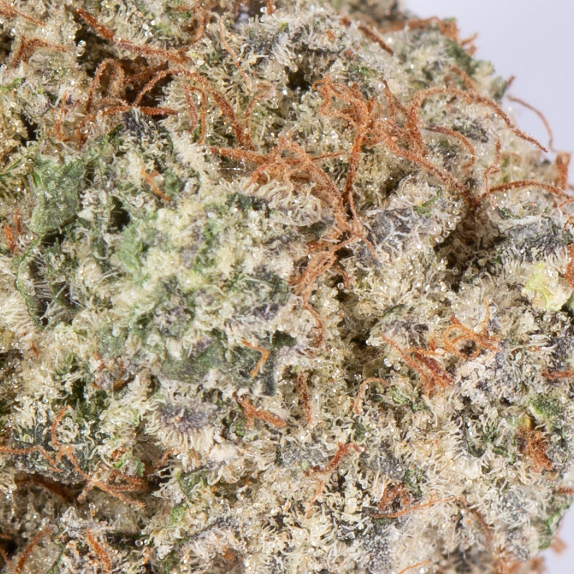 Dragon's Breath (AAA+) - Image 5