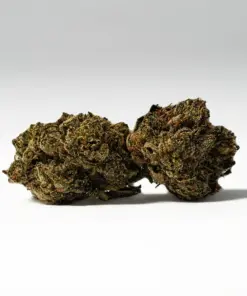 El Chapo Smalls (AA)