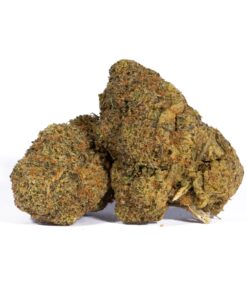 Lime Sorbet (AA) Promo