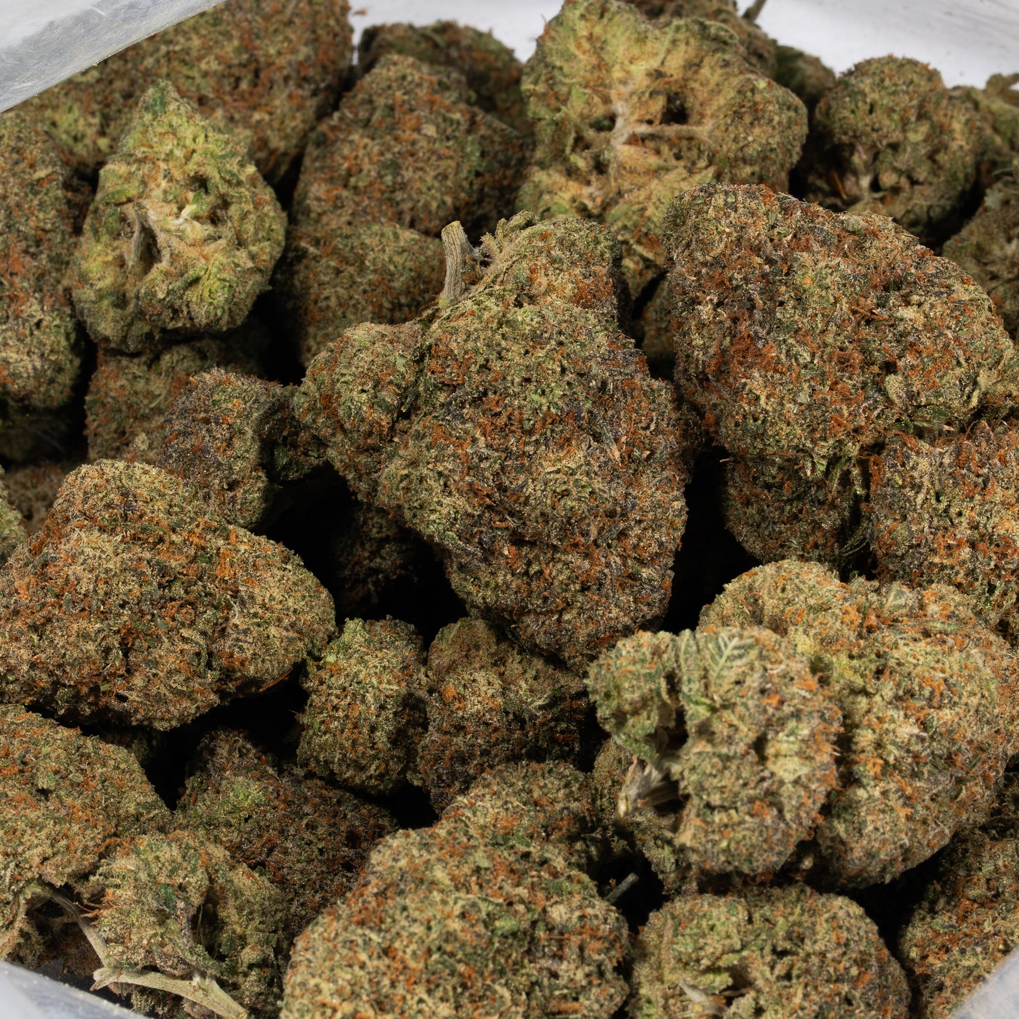 Super Silver Haze (AAA) - Image 4