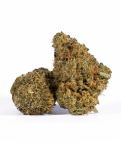 Aurora Haze (AA)