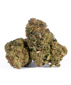 GMO Cookies (AAA)