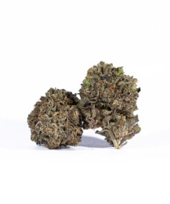 Purple Haze (AAAA)