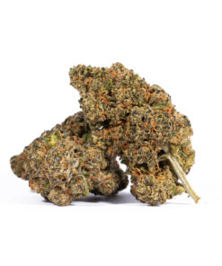 Tropic Thunder (AA+)