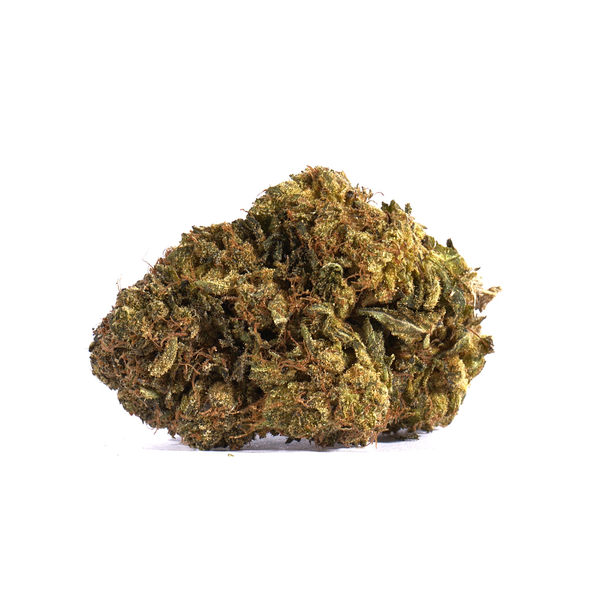 Couchlock (AA) - Image 2