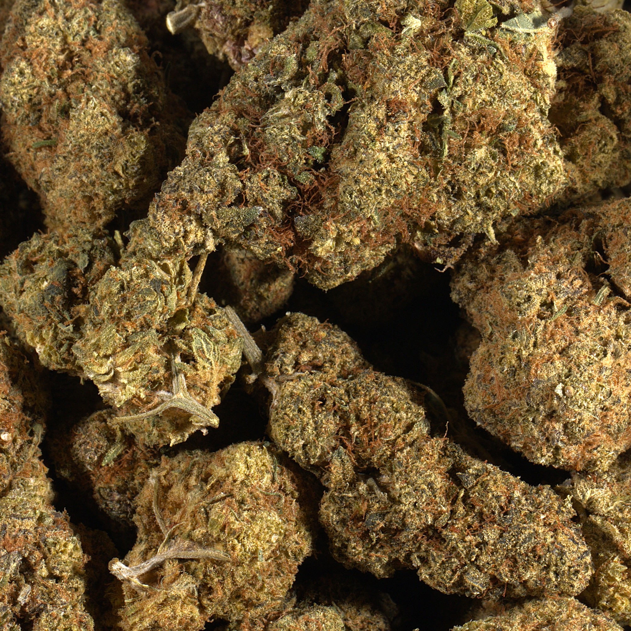 Grape God (AA) - Image 3