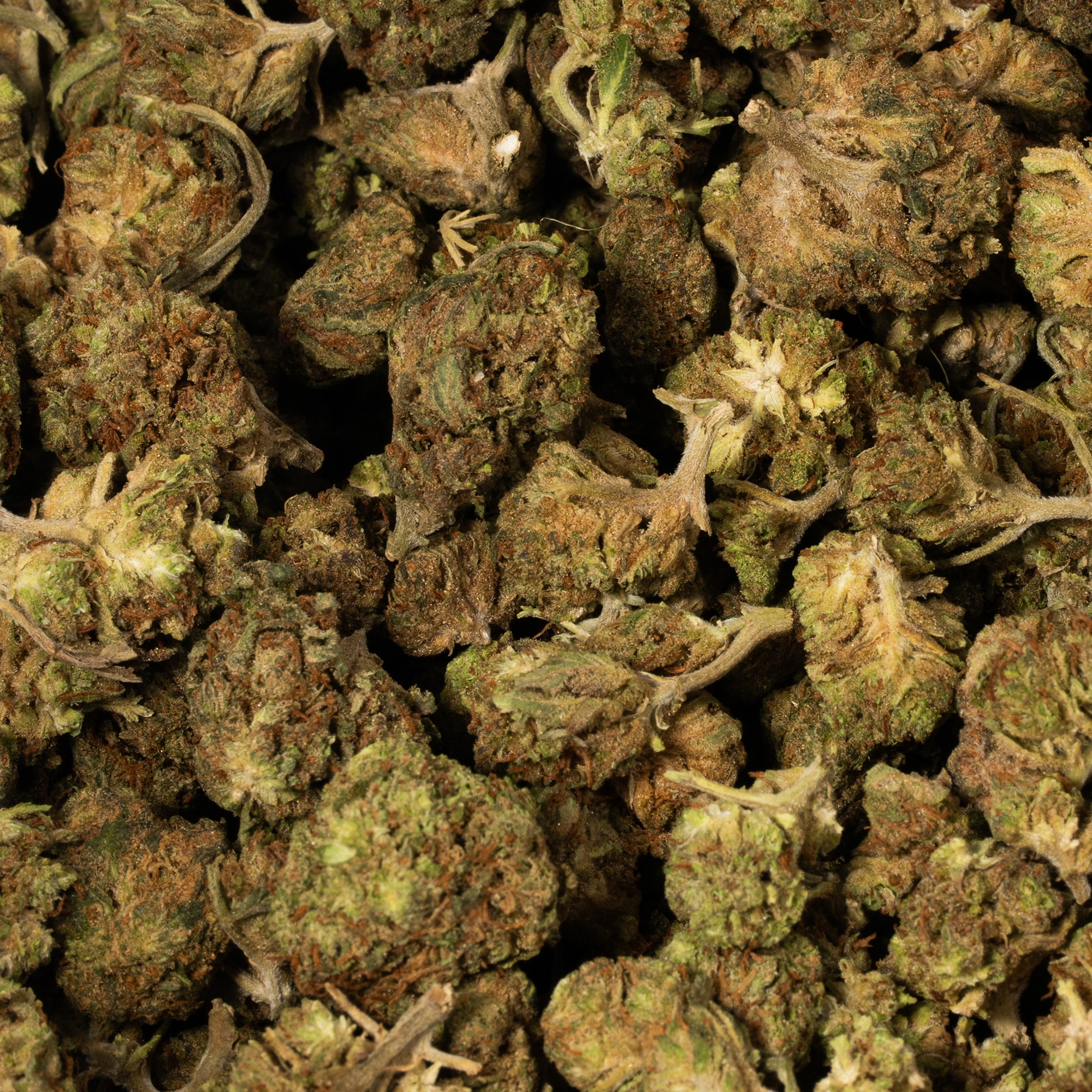 Strawberry AA (Promo) - Image 5