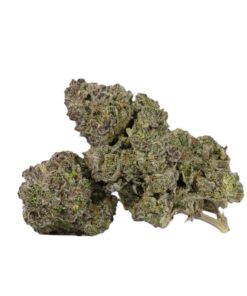 9LB Hammer (AAA)